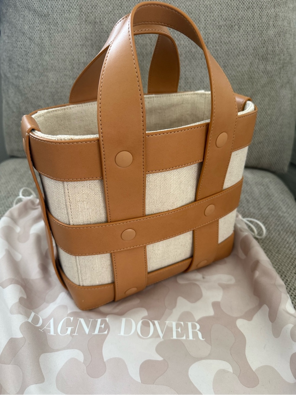 Dagne Dover Small Laila Cage Tote